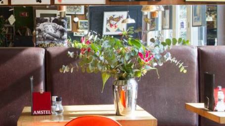 wierenga omgeving wierenga omgeving