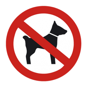 Honden vrije camping Honden vrije camping