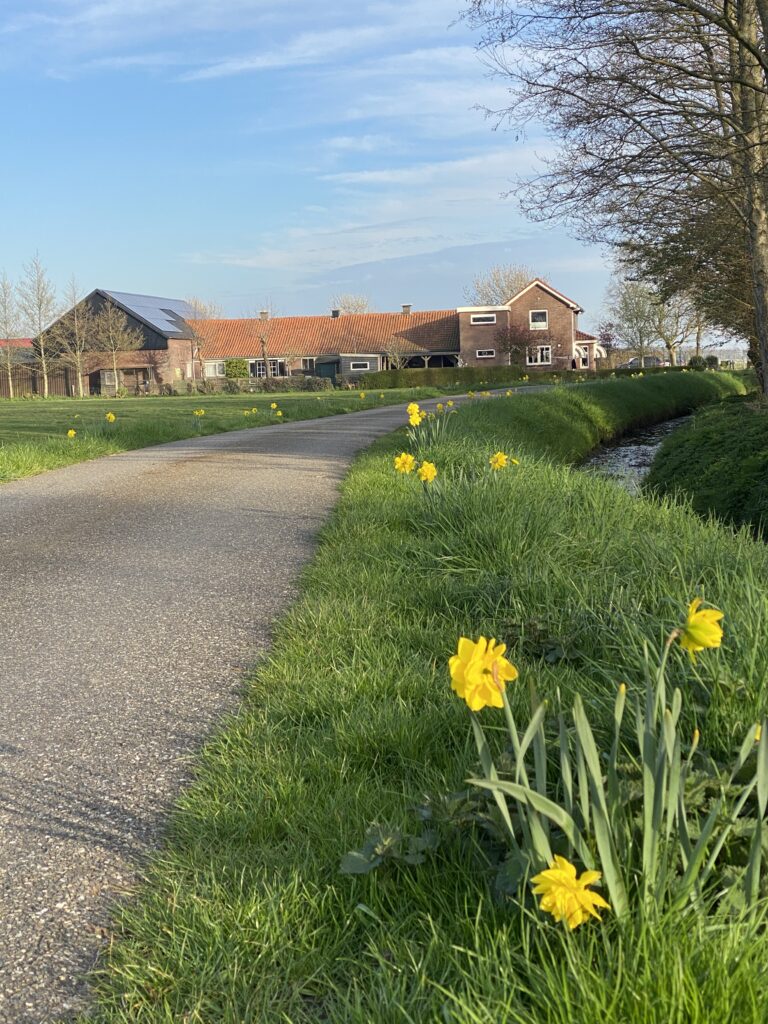 Nesdijk Limmen