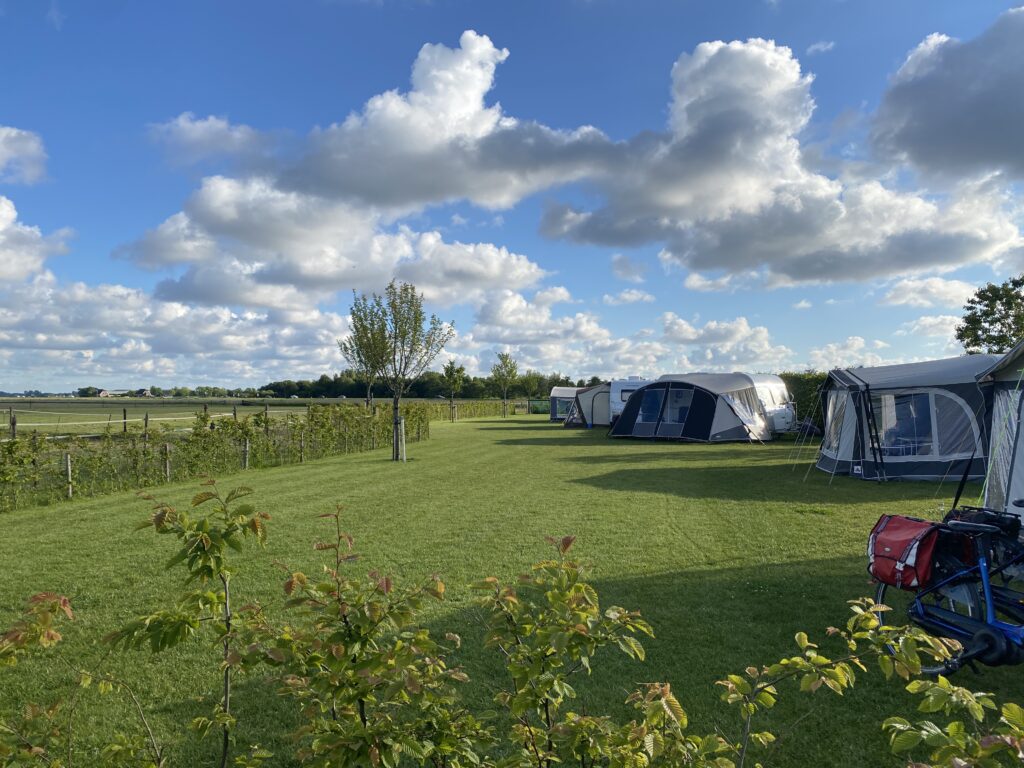 Overzicht veld vanaf de geitjes