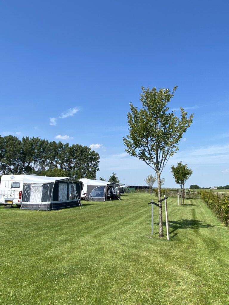 Nieuwe veld
